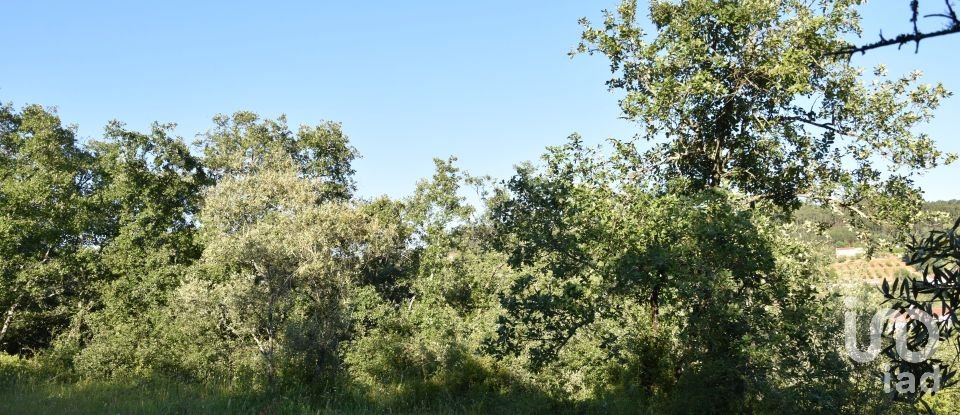 Terreno em Areias e Pias de 1 440 m²