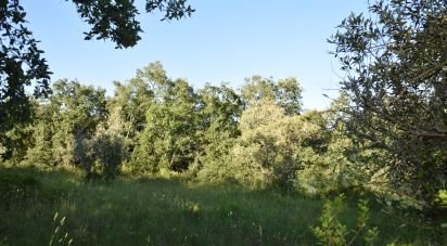 Terrain à Areias e Pias de 1 440 m²