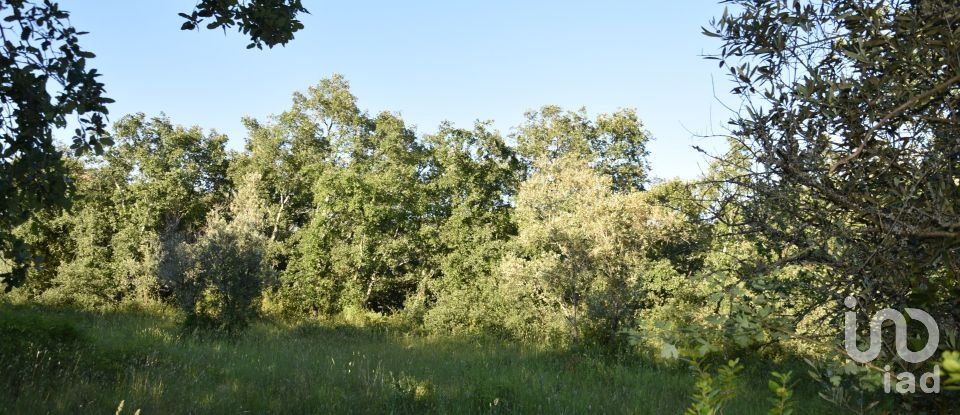 Terreno em Areias e Pias de 1 440 m²