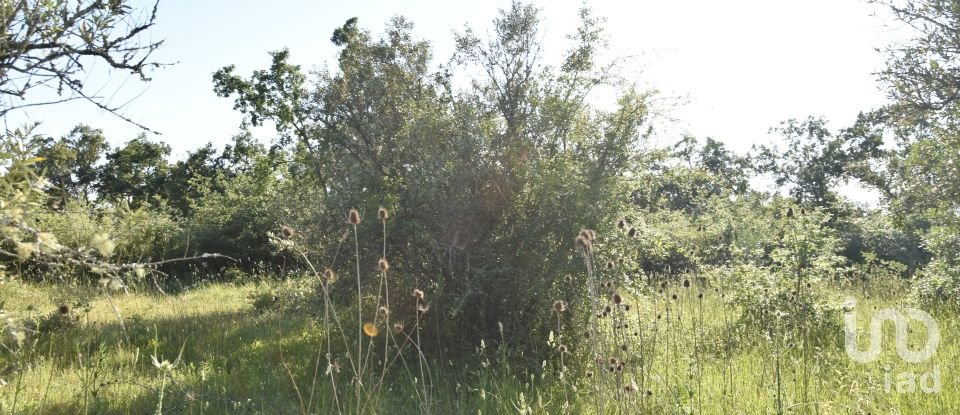 Terreno em Areias e Pias de 1 440 m²