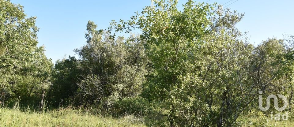 Terreno em Areias e Pias de 1 440 m²