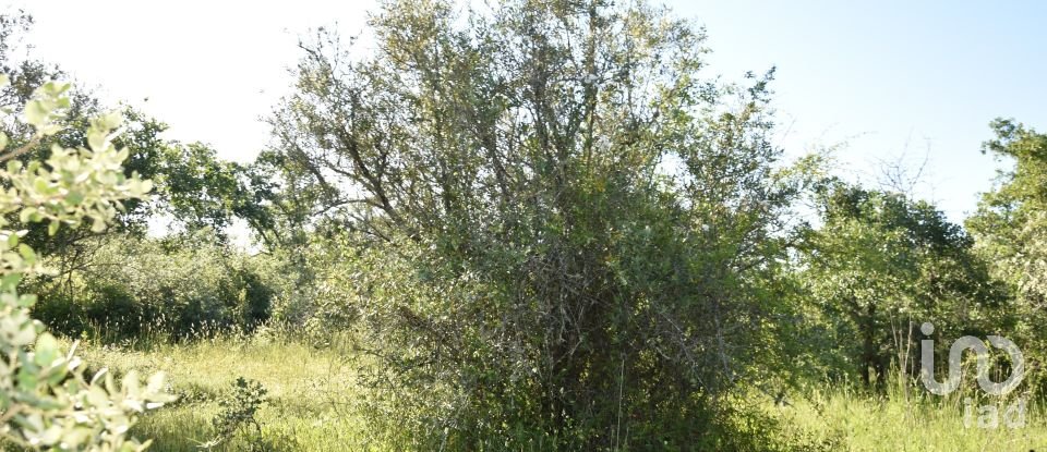 Terreno em Areias e Pias de 1 440 m²