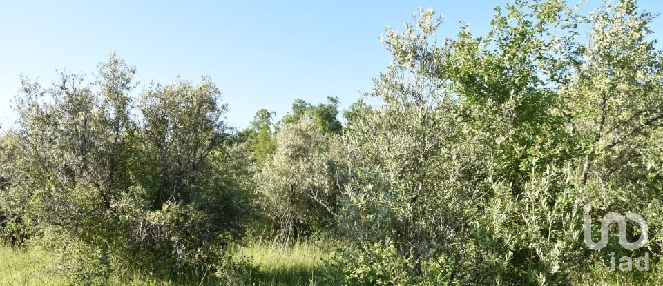 Terreno em Areias e Pias de 1 440 m²