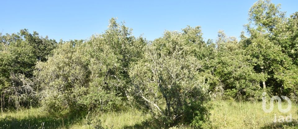 Terreno em Areias e Pias de 1 440 m²