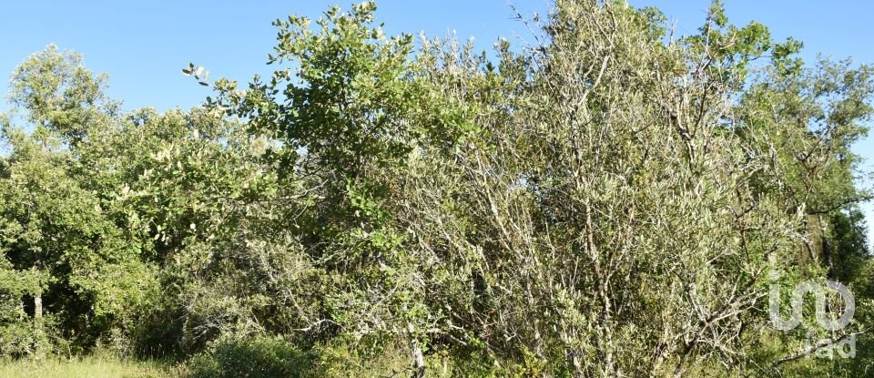 Terreno em Areias e Pias de 1 440 m²