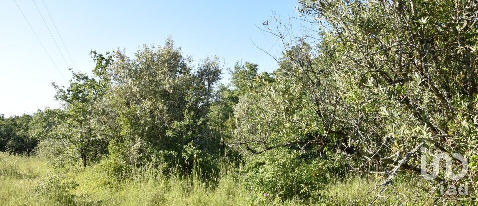 Terreno em Areias e Pias de 1 440 m²