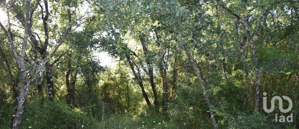 Terreno em Areias e Pias de 1 440 m²