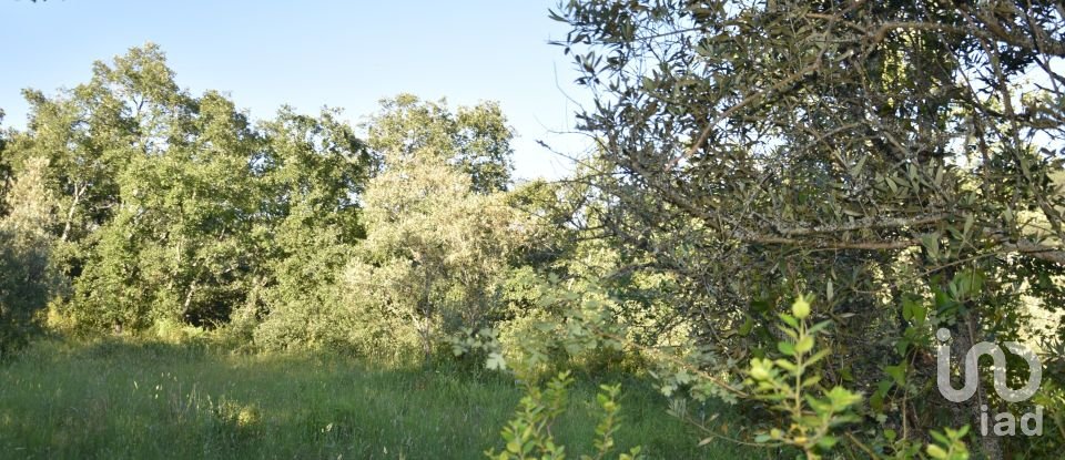 Terreno em Areias e Pias de 1 440 m²