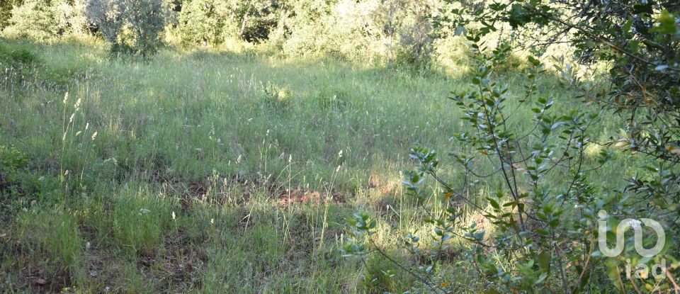 Terreno em Areias e Pias de 1 440 m²