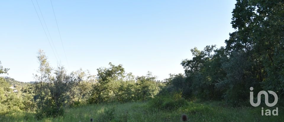 Terreno em Areias e Pias de 1 440 m²