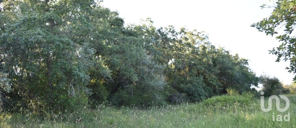 Terreno em Areias e Pias de 1 440 m²