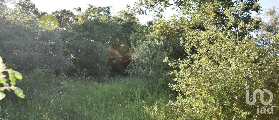 Terreno em Areias e Pias de 1 440 m²