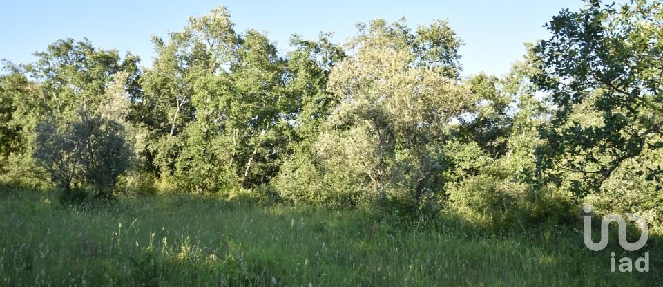 Terreno em Areias e Pias de 1 440 m²