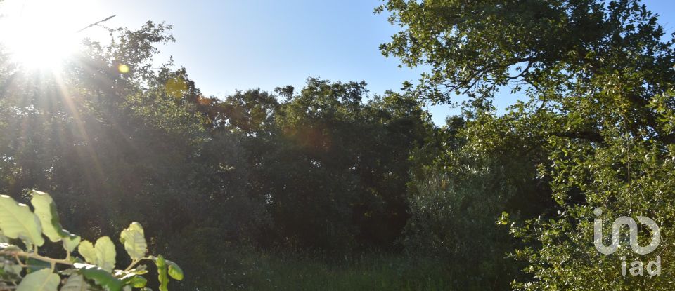 Terreno em Areias e Pias de 1 440 m²