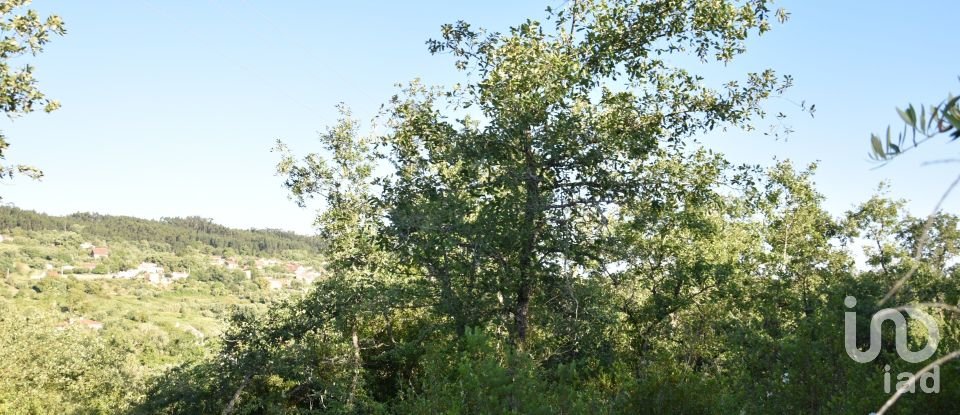 Terreno em Areias e Pias de 1 440 m²