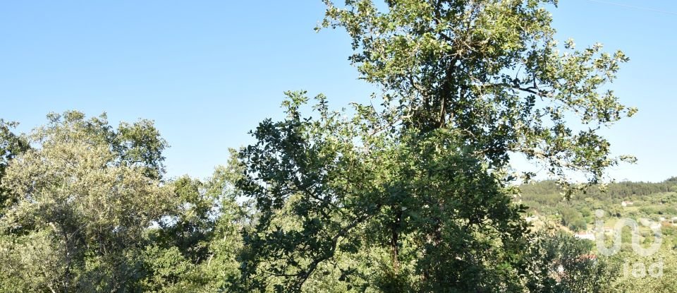 Terreno em Areias e Pias de 1 440 m²