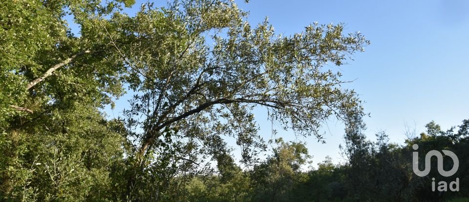 Terreno em Areias e Pias de 1 440 m²