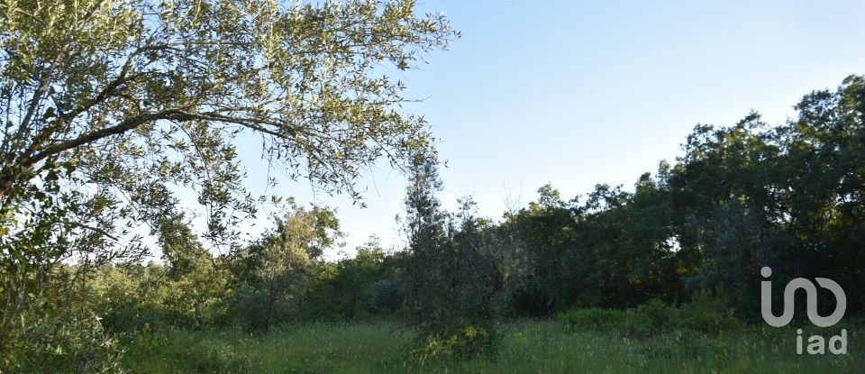 Terreno em Areias e Pias de 1 440 m²