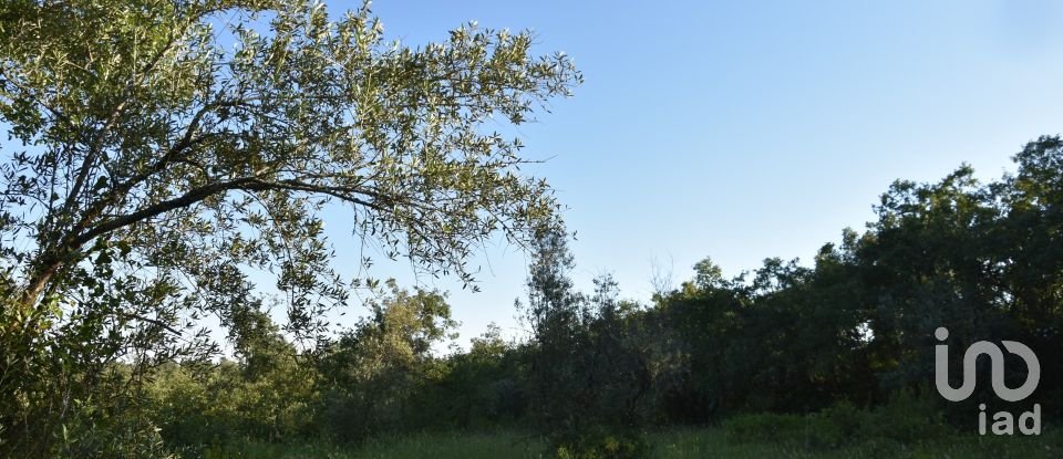 Terreno em Areias e Pias de 1 440 m²