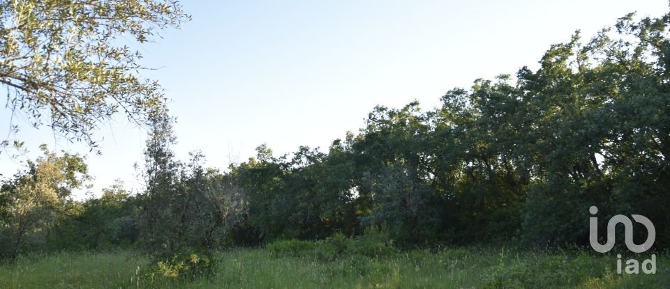 Terreno em Areias e Pias de 1 440 m²