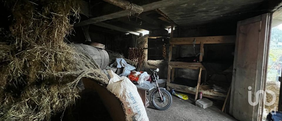 Moradia T3 em Freixo de Cima e de Baixo de 120 m²