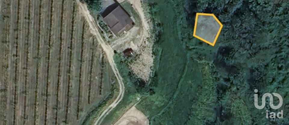 Moradia T3 em Freixo de Cima e de Baixo de 120 m²