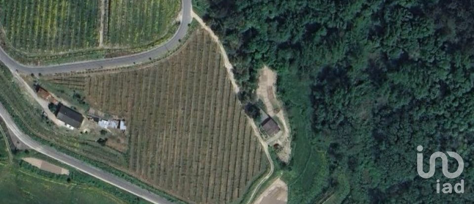 Moradia T3 em Freixo de Cima e de Baixo de 120 m²