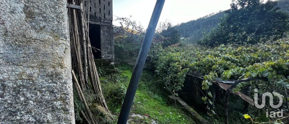 Moradia T3 em Freixo de Cima e de Baixo de 120 m²