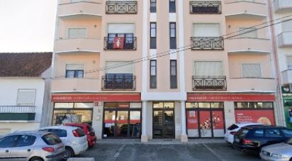 Shop / premises commercial in Aldeia Galega da Merceana e Aldeia Gavinha of 250 m²