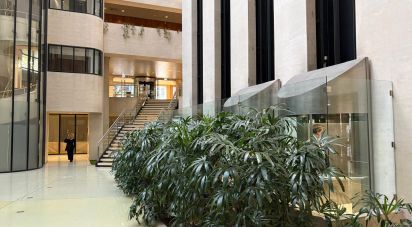 Bureaux à Santo António de 133 m²