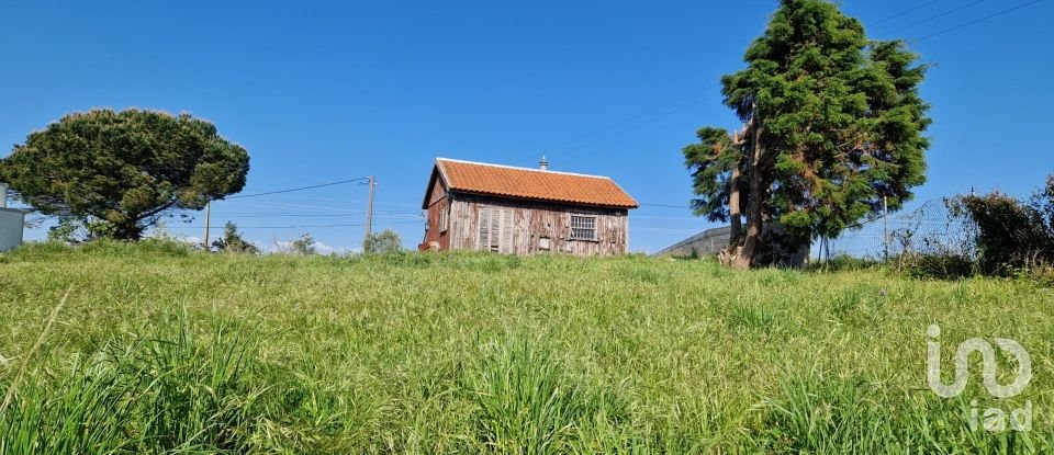 Land in Lamas e Cercal of 3,520 m²