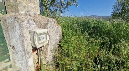 Land in Lamas e Cercal of 3,520 m²