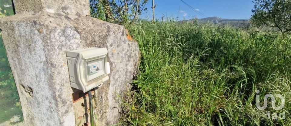 Land in Lamas e Cercal of 3,520 m²
