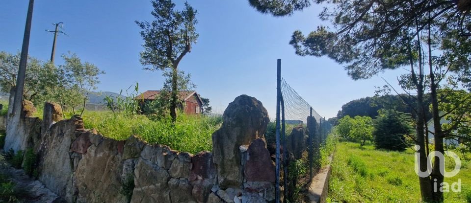 Land in Lamas e Cercal of 3,520 m²
