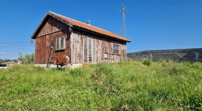 Land in Lamas e Cercal of 3,520 m²