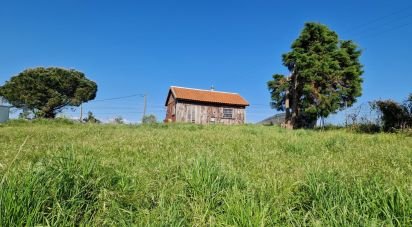 Land in Lamas e Cercal of 3,520 m²