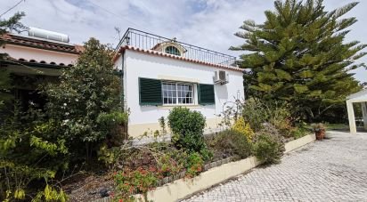 Village house T3 in São Pedro de Tomar of 145 m²