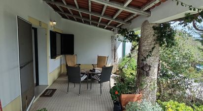 Village house T3 in São Pedro de Tomar of 145 m²