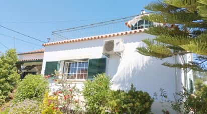 Village house T3 in São Pedro de Tomar of 145 m²