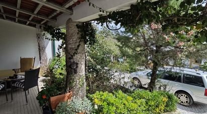 Village house T3 in São Pedro de Tomar of 145 m²