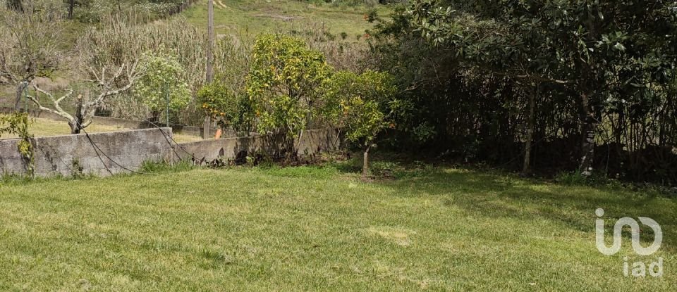 Casa de aldeia T3 em São Pedro de Tomar de 145 m²