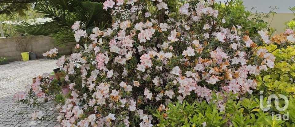 Casa de aldeia T3 em São Pedro de Tomar de 145 m²