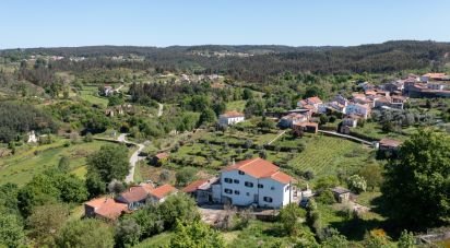 Maison T5 à Lourosa de 572 m²