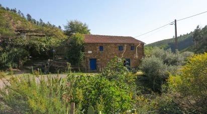 Ferme T5 à Figueiró dos Vinhos e Bairradas de 330 m²