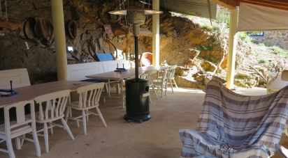 Ferme T5 à Figueiró dos Vinhos e Bairradas de 330 m²