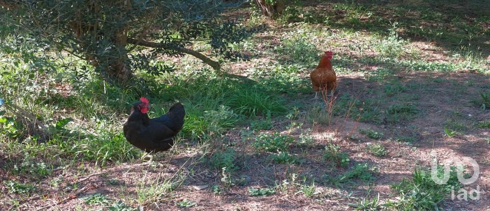 Farm T5 in Figueiró dos Vinhos e Bairradas of 330 m²