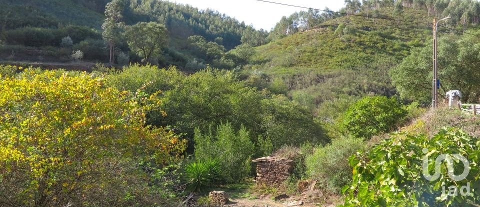 Farm T5 in Figueiró dos Vinhos e Bairradas of 330 m²