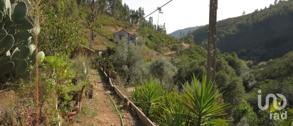 Farm T5 in Figueiró dos Vinhos e Bairradas of 330 m²