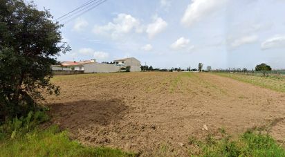 Terrain à Eixo e Eirol de 500 m²