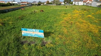 Terrain à bâtir à Oliveirinha de 9 007 m²
